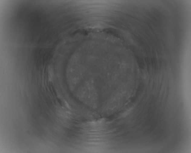 X0000081350818200702082252