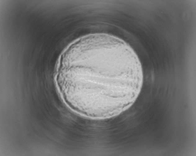 X0000081350819200702082252