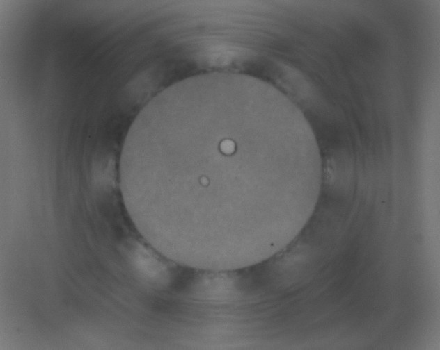 X0000081350820200702082252