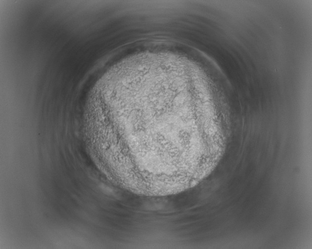 X0000081350823200702082252