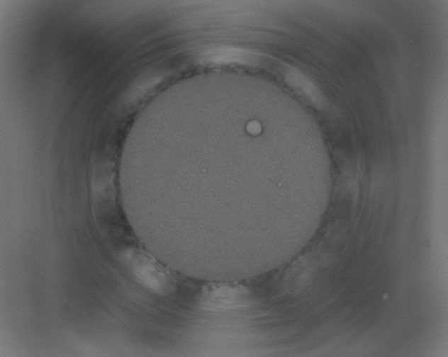 X0000081350824200702082252