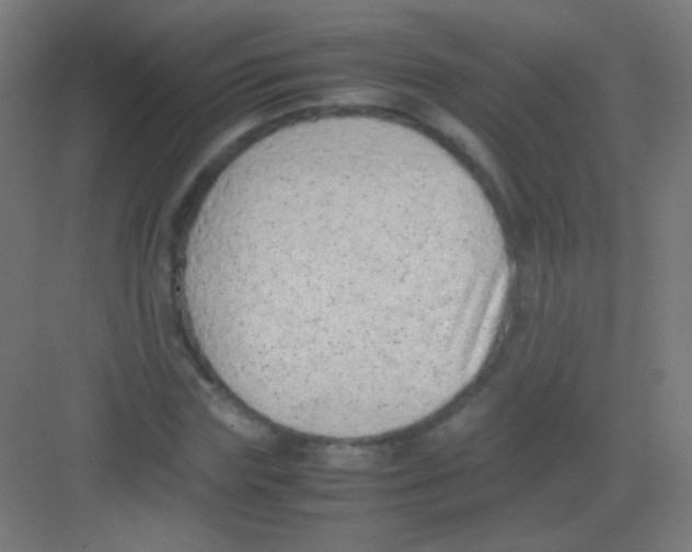 X0000081350827200702082252