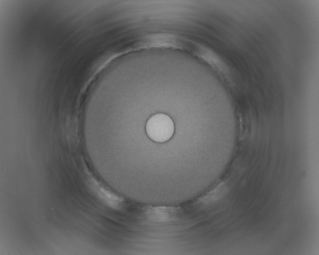 X0000081350828200702082252