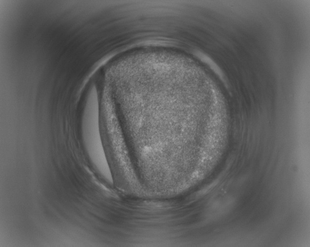 X0000081350829200702082252