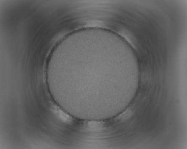 X0000081350832200702082252