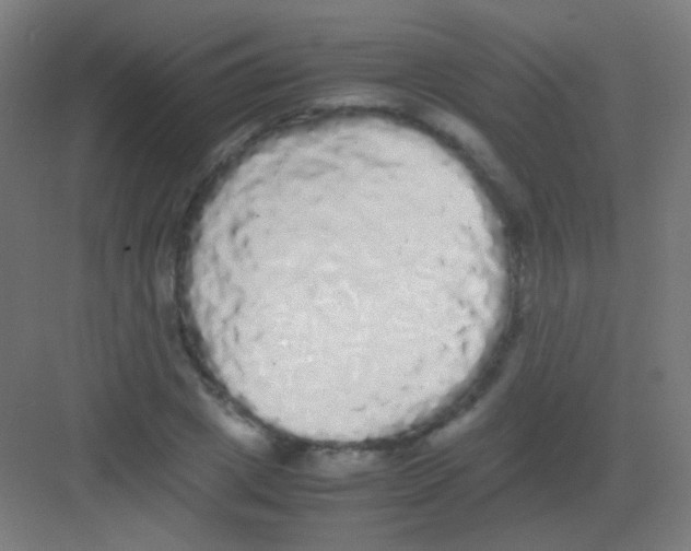 X0000081350833200702082252