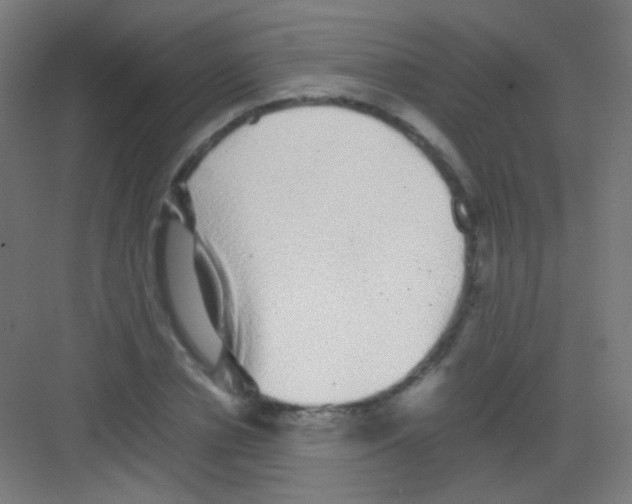 X0000081350834200702082252