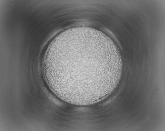 X0000081350835200702082252