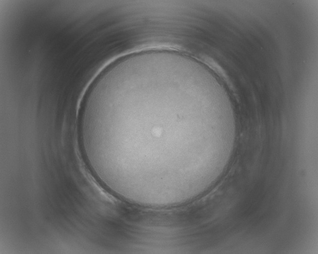 X0000081350836200702082252