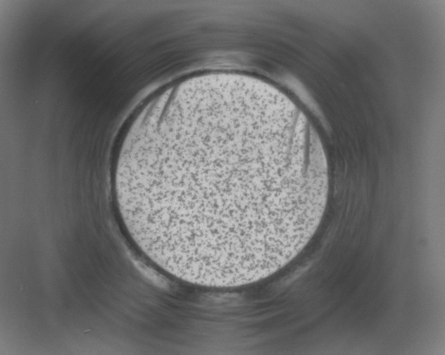 X0000081350837200702082252