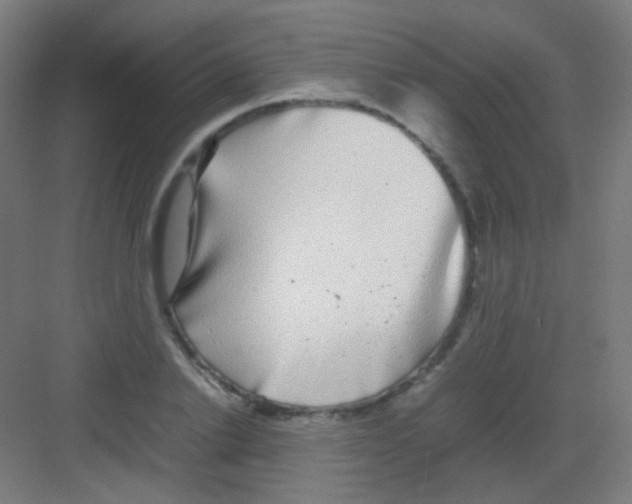 X0000081350838200702082252