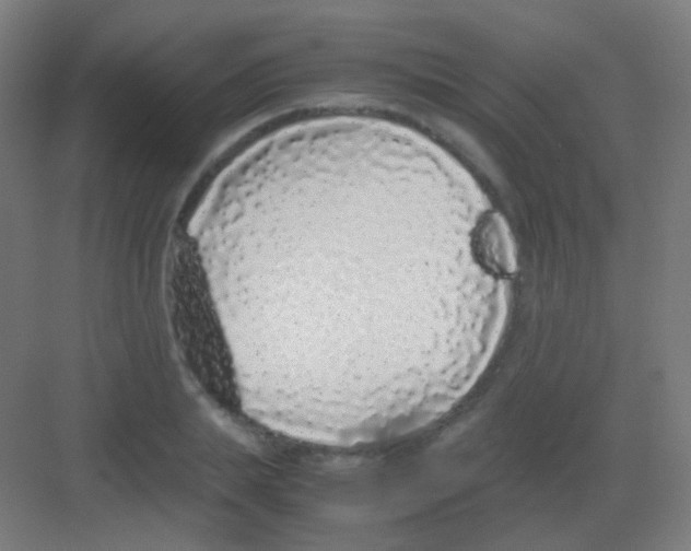 X0000081350839200702082252