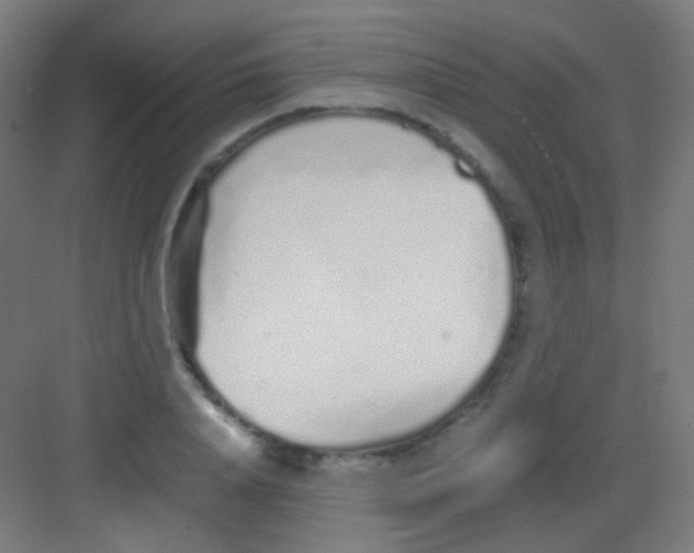 X0000081350840200702082252