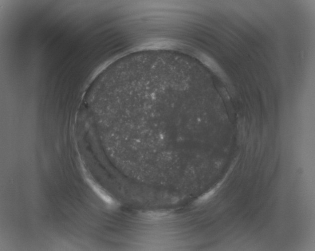 X0000081350842200702082252