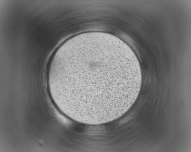 X0000081350843200702082252