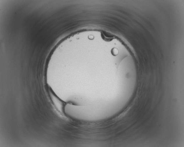 X0000081350845200702082252