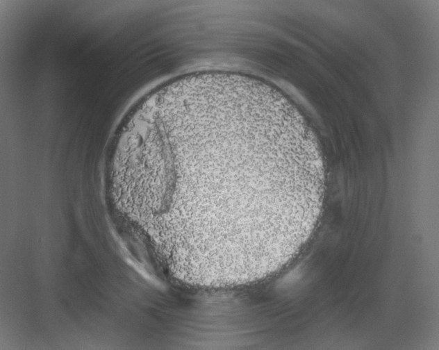 X0000081350846200702082252