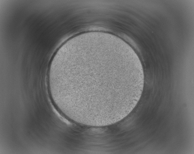 X0000081350847200702082252