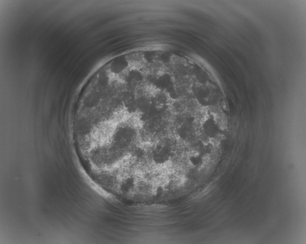 X0000081350851200702082252