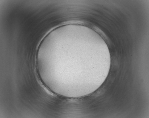 X0000081350852200702082252