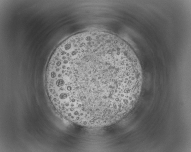 X0000081350856200702082253