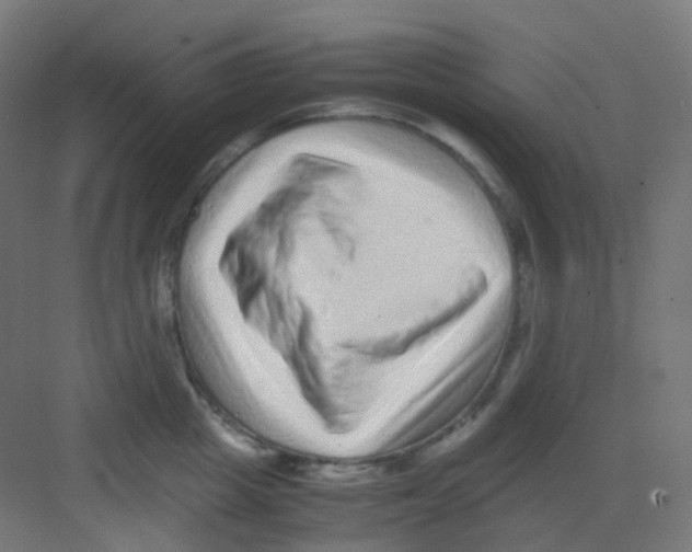 X0000081350857200702082253