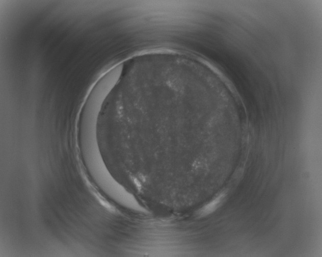 X0000081350858200702082253