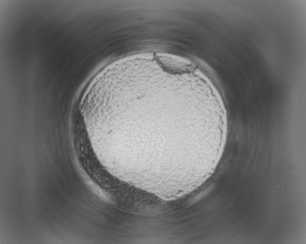 X0000081350859200702082253