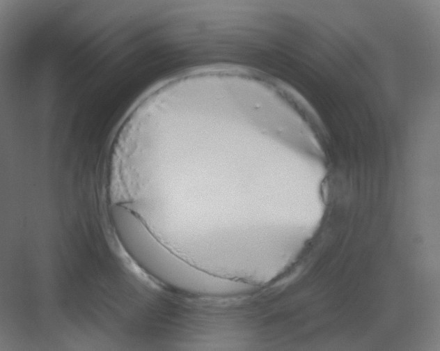 X0000081350860200702082253