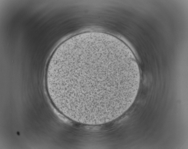 X0000081350861200702082253