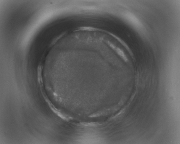 X0000081350862200702082253