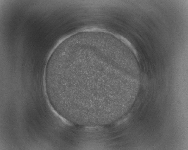 X0000081350863200702082253