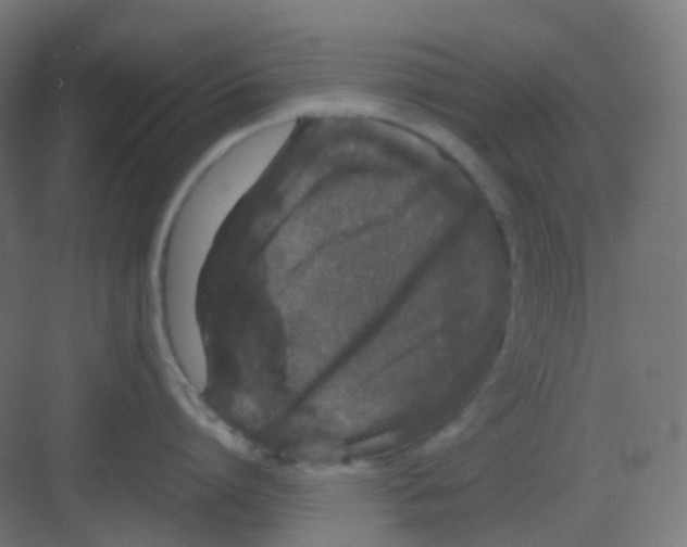 X0000081350864200702082253