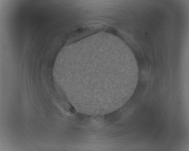 X0000081350865200702082252