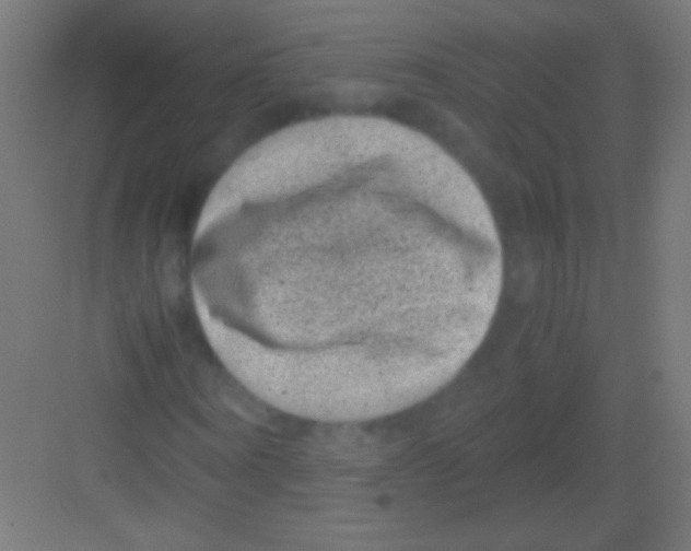 X0000081350866200702082252