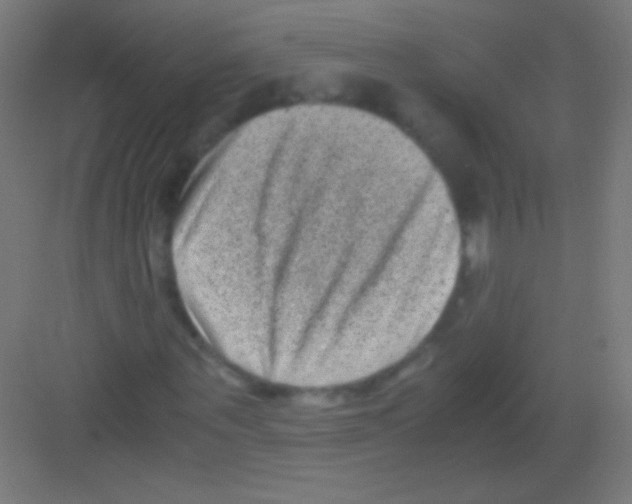 X0000081350867200702082252