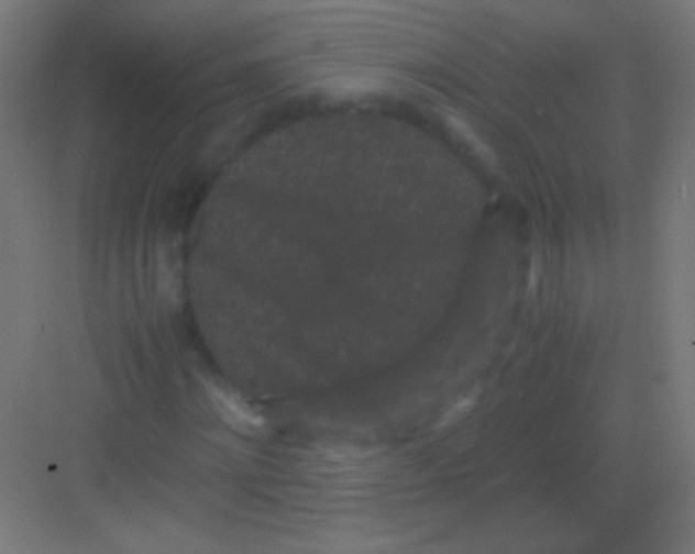 X0000081350868200702082252