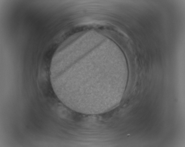 X0000081350869200702082252