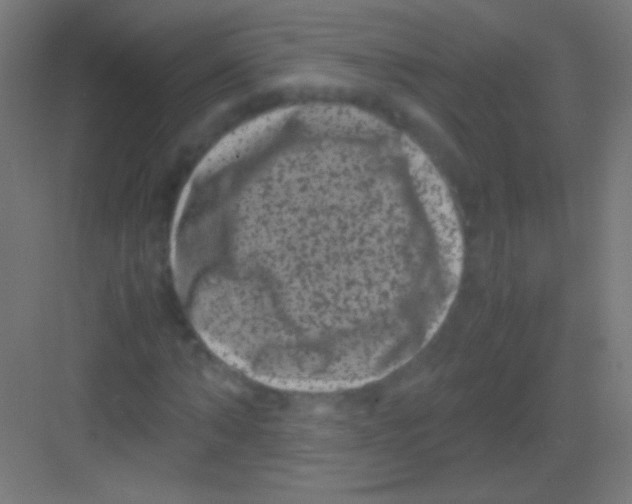 X0000081350870200702082252