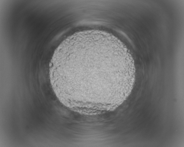 X0000081350871200702082252