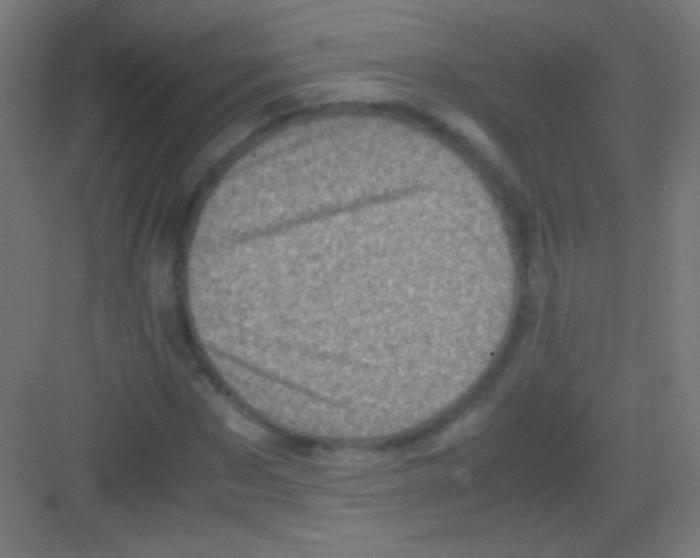 X0000081350873200702082252