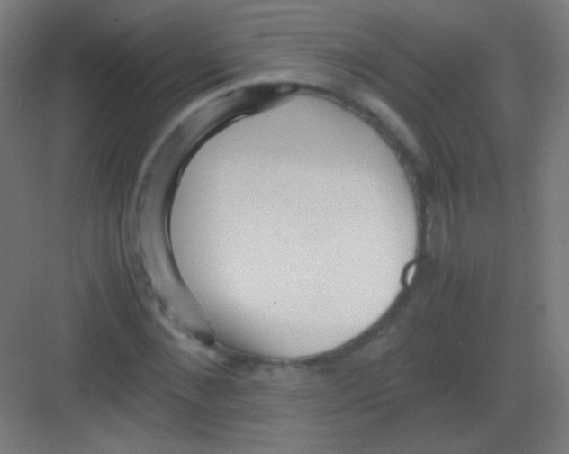 X0000081350876200702082252