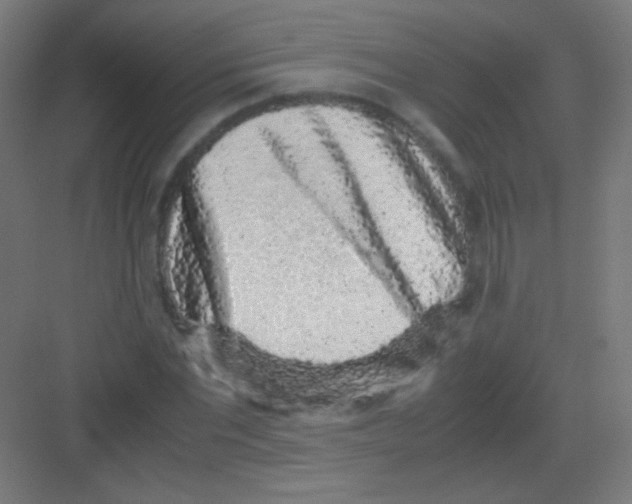 X0000081350877200702082252