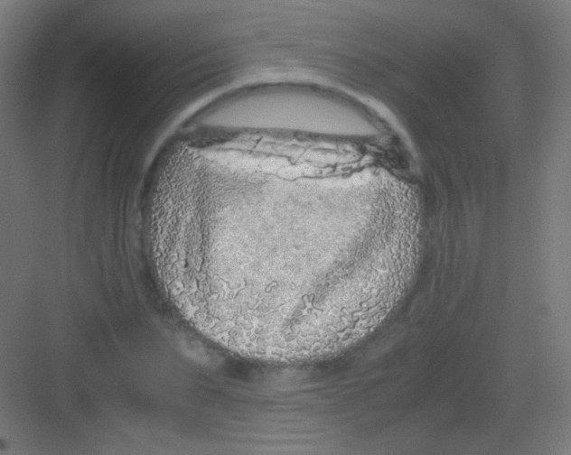 X0000081350879200702082252