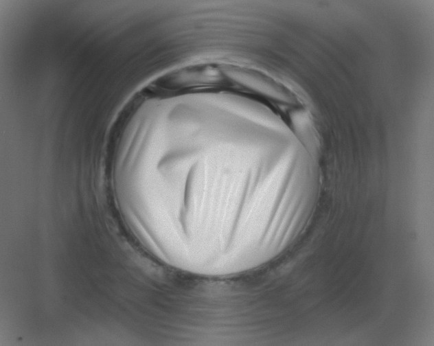 X0000081350880200702082252