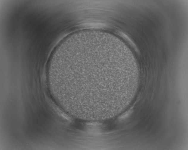 X0000081350883200702082252