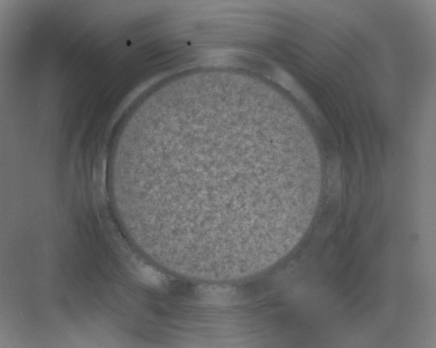 X0000081350886200702082252