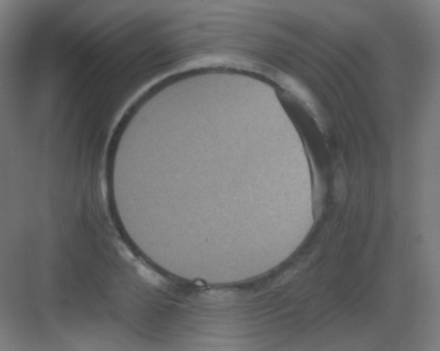 X0000081350888200702082251