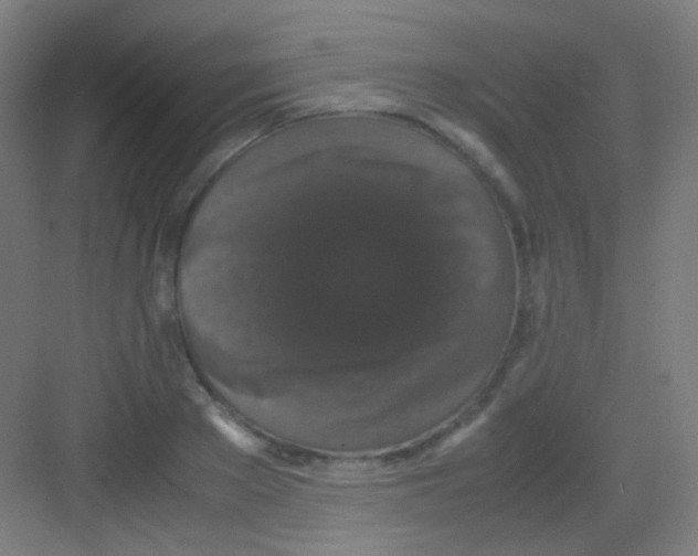 X0000081350889200702082251