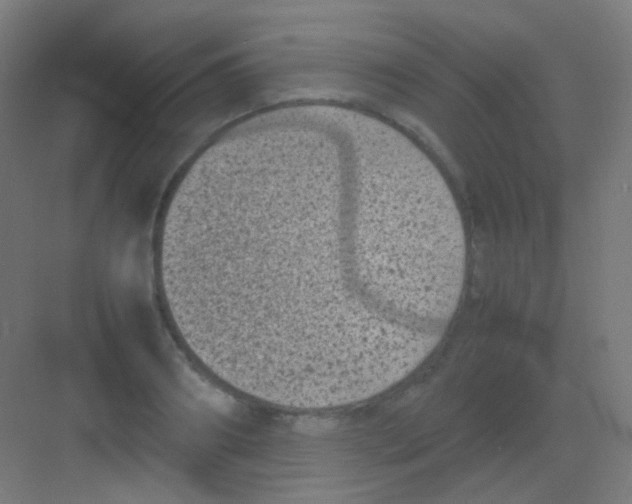 X0000081350890200702082251